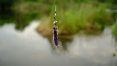 Lure on a predatory fish, in the form of a fish on a fishing line Stock Footage 135430146