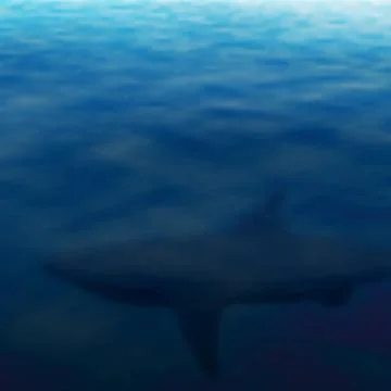 Lurking shark Stock-Illustration