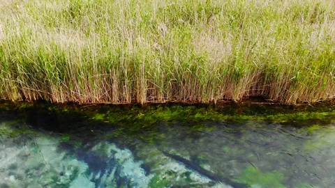 Lush Aegean Marslands in the Spring (Aerial) Stock Footage 106972186