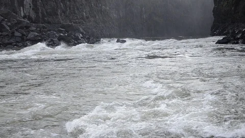 Lush african river 動画素材 95635246