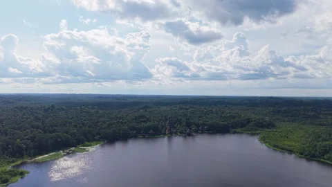 Lush Amazon rainforest edge merging with calm river, sunlight piercing cloudy Stock Footage 308420171