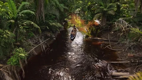 Lush Amazon rainforest river winding through dense tropical vegetation, tourist 스톡 동영상 308406581
