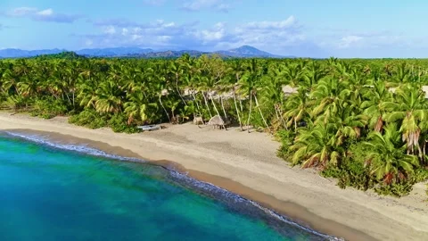A lush and pristine Caribbean coastline with coconut palms and a turquoise sea. Stock Footage 336203185