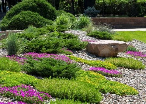 Lush and vibrant garden with an array of assorted plants featuring a central roc 스톡 사진