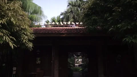 Lush Backyard Garden View with Water Feature Treehouse and Lotus Water Lilies Stock Footage 341004660