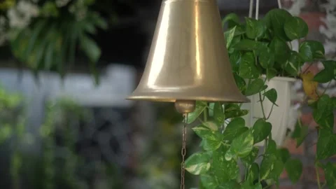 Lush Backyard Garden View with Water Feature Treehouse and Lotus Water Lilies Stock Footage 341108452