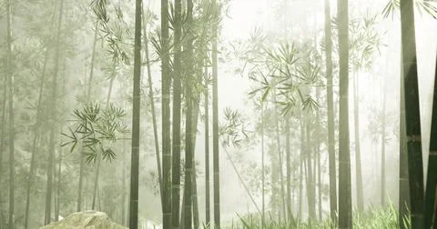 Lush bamboo forest enveloped in mist on a tranquil morning Stock Illustration
