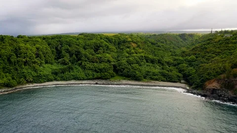 Lush Bay Video stock 115626932