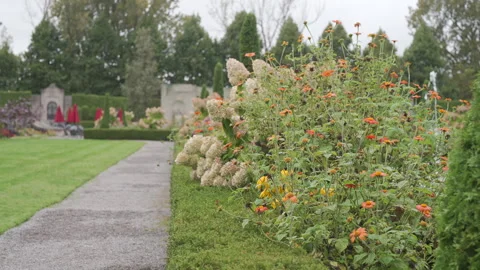 Lush Botanical Garden Path with Vibrant Orange Flowers and Elegant Landscape Vídeos de archivo 332580218