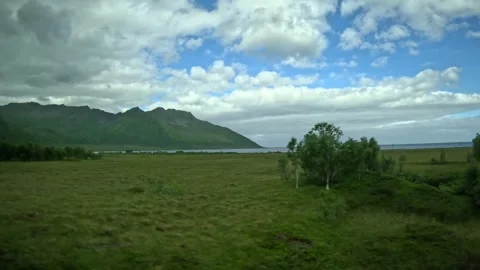 Lush coastal meadow, birch trees, open ocean, and mountains in Senja Norway Stock-Footage 342340414