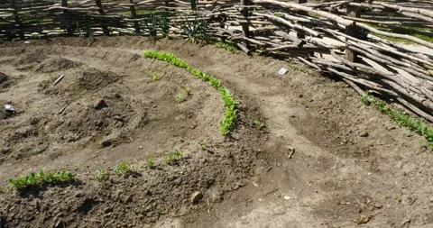 A Lush Colonial Vegetable Garden Stock Footage 240796222
