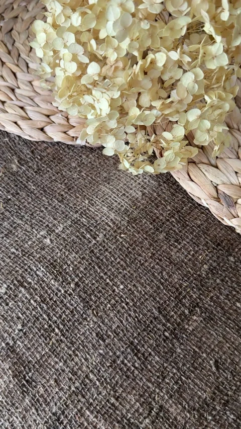 Lush dried hydrangea flower on damp linen burlap and water hyacinth placema.. Stock Footage 320500874