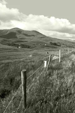 Lush fields of ireland Foto stock