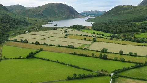 Lush fields stretch toward a calm lake Stock Footage 345523606