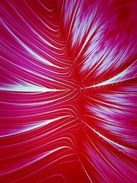 Lush Foliage and Fluid Forms: A Creative Backdrop for Eye-Catching Designs .. Foto stock