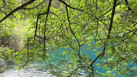 Lush Foliage Frames Pristine Turquoise Water at Jiuzhaigou Valley, Sichuan Видео 337914728