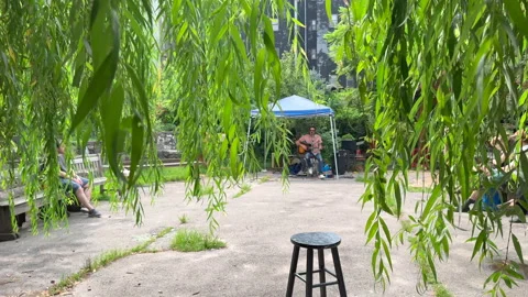 Lush foliage thrive inside La Plaza Cultural de Armando Perez in East Village Stock-Footage 344905372