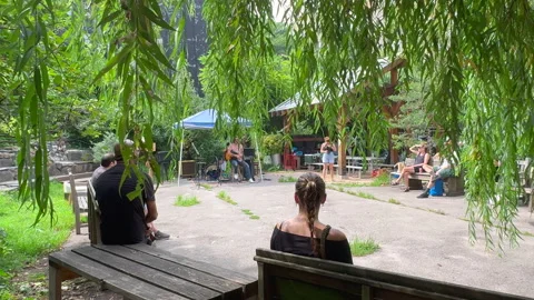 Lush foliage thrive inside La Plaza Cultural de Armando Perez in East Village Stock-Footage 344906048