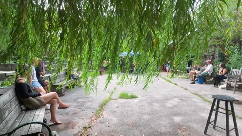 Lush foliage thrive inside La Plaza Cultural de Armando Perez in East Village Stock-Footage 344906451