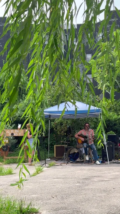 Lush foliage thrive inside La Plaza Cultural de Armando Perez in East Village Stock-Footage 344907095