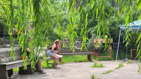 Lush foliage thrive inside La Plaza Cultural de Armando Perez in East Village Stock-Footage 344907922