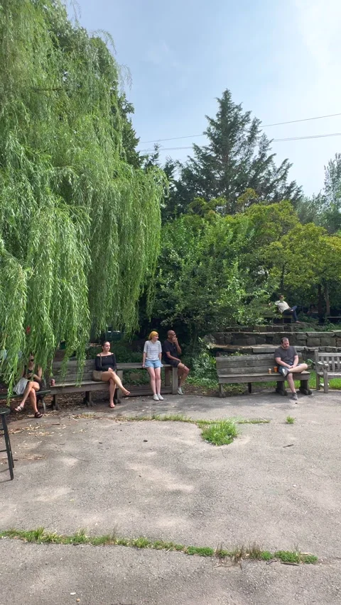Lush foliage thrive inside La Plaza Cultural de Armando Perez in East Village Stock-Footage 344909546