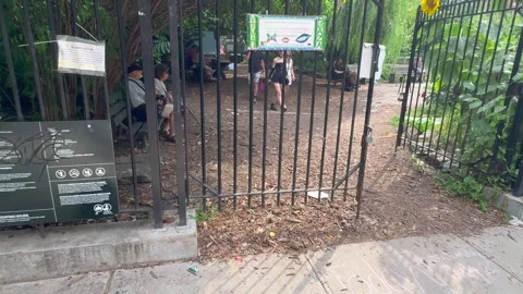 Lush foliage thrive inside La Plaza Cultural de Armando Perez in East Village Stock-Footage 344911835