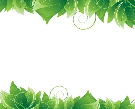 Lush foliage on white background Stock Illustration