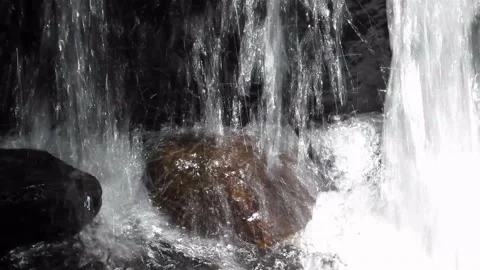 Lush forest area with natural waterfall and pond in Hakgala gardens, Nuwarael Stock Footage 133545352