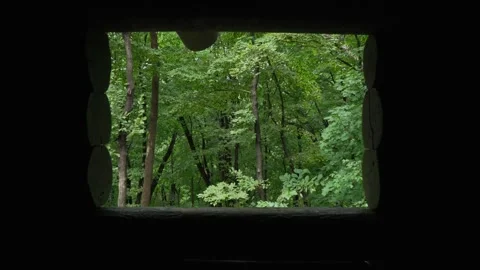 Lush Forest Cabin Window Reveal Stock Footage 285675708