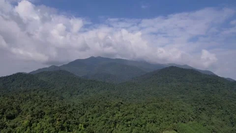 Lush Forest Canopy &amp; Rolling Mountains Aerial Stock Footage 264562160
