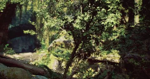 Lush forest with dense greenery and a serene stream flowing through Stock Illustration