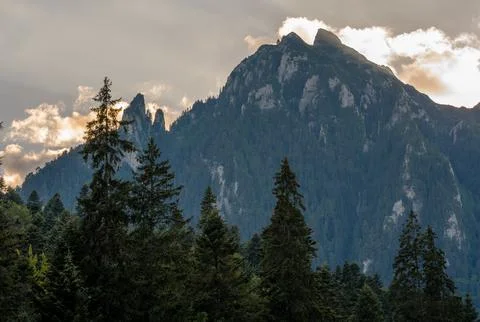 Lush forest enveloped by an enchanting array of trees, with majestic mountains i Fotos de archivo