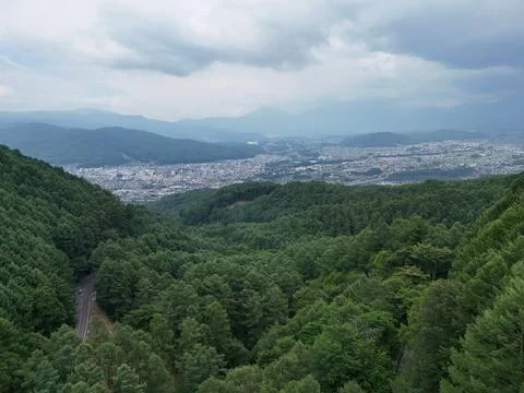 Lush forest frames distant urban sprawl Фото