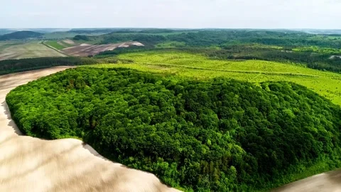 Lush forest island surrounded by vast agricultural fields cinematic drone f.. Stock-Footage 341067978