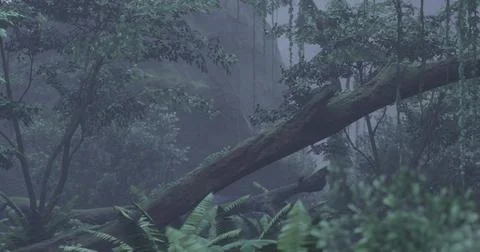 Lush forest landscape with fallen tree and misty atmosphere in tropical regio Stock Illustration