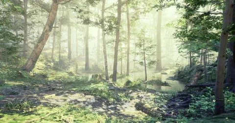 Lush forest landscape illuminated by soft sunlight in the early morning Illustrazione stock