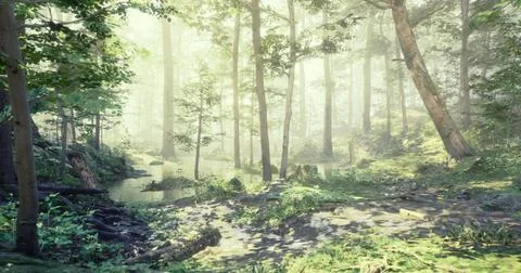 Lush forest landscape with mist and tranquility in early morning light Illustrazione stock