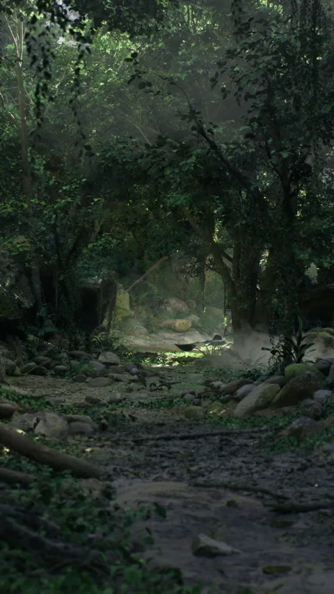 Lush forest path with dense greenery and soft, diffused light during midday Video stock 319568019