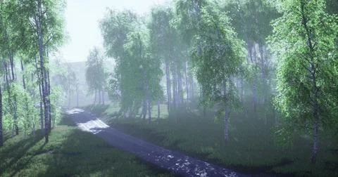 Lush forest pathway surrounded by misty trees in early morning light Stock Illustration