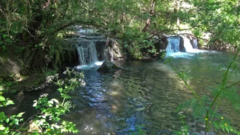 Lush forest river with flowing waterfall and green rocks Video stock 338384650