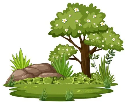 Lush Forest with Rocks and Trees Stock Illustration