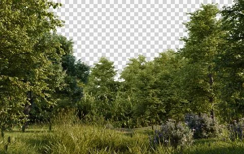 Lush forest scene, sunlight filtering through trees.  Tranquil woodland path Stock Illustration