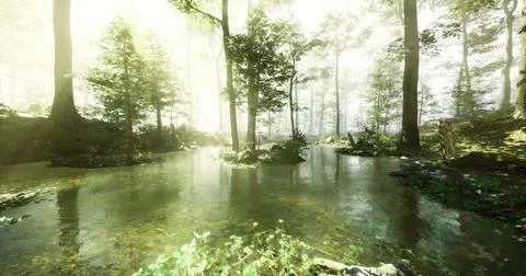 Lush forest with sunlight filtering through trees and serene water reflection Stock Illustration