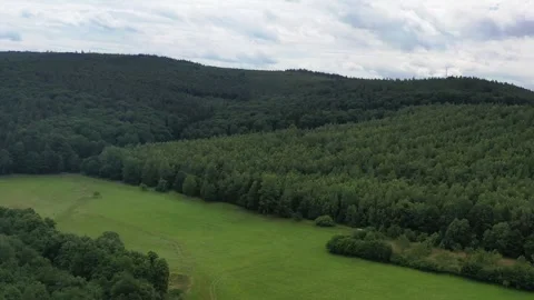 Lush forest with tall trees. Drone of the forest Heli shot image of the Stock Footage 249409912