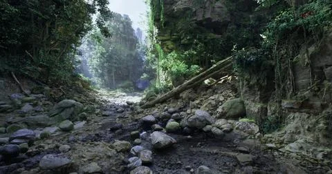Lush forest valley with rocky stream glistening under sunlight Stock Illustration