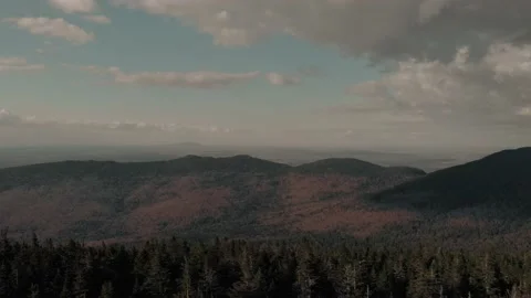 Lush Forest Vegetation Under A Bright Cloudy Sky In Megantic, Canada - Stock Footage 130321352