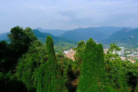 Lush forest view over town and mountain valley Stock Photos