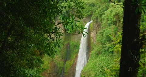 A lush forest viewpoint frames a tall Costa Rica waterfall cascading down a Stock Footage 345530609