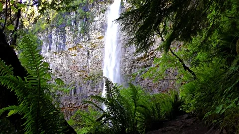 Lush Forest Waterfall Cascading Down Rocky Cliff Face Stock Footage 301087961